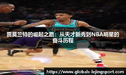乐竞体育官方网站